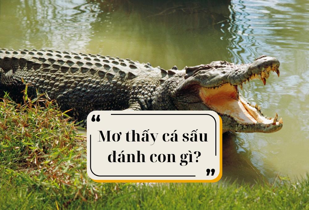 Những con số may mắn liên quan đến giấc mơ cá sấu