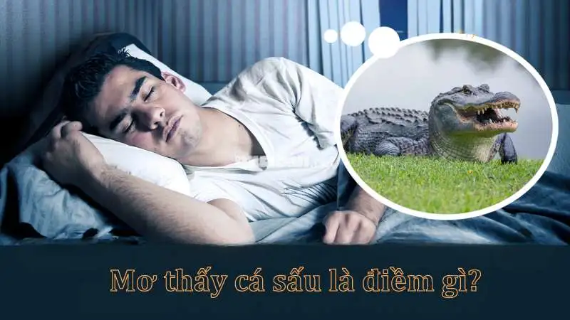 Mơ thấy cá sấu có ý nghĩa gì?
