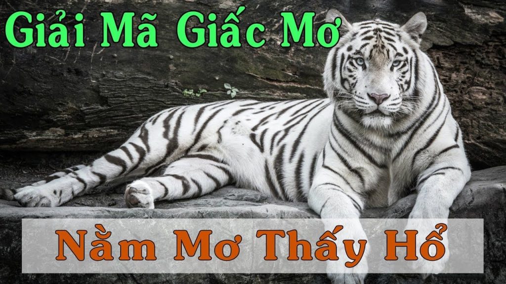 Mơ thấy hổ báo hiệu điều gì?