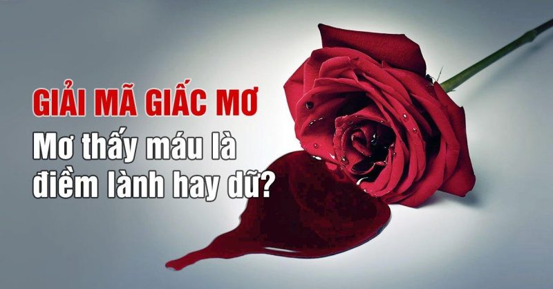 Mơ thấy máu là điềm tốt hay xấu?