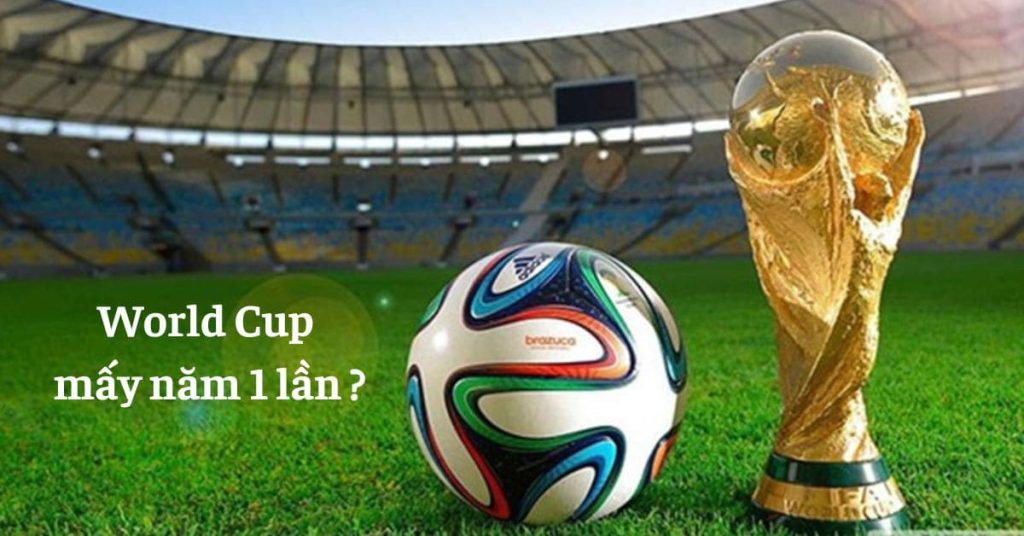 World Cup tổ chức mấy năm 1 lần?